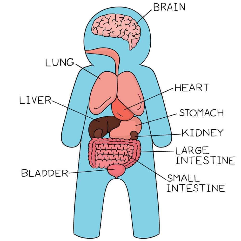 indoor air pollution