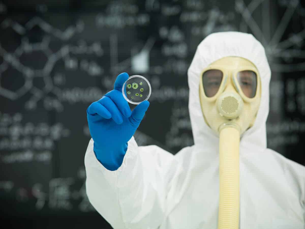 mold killers