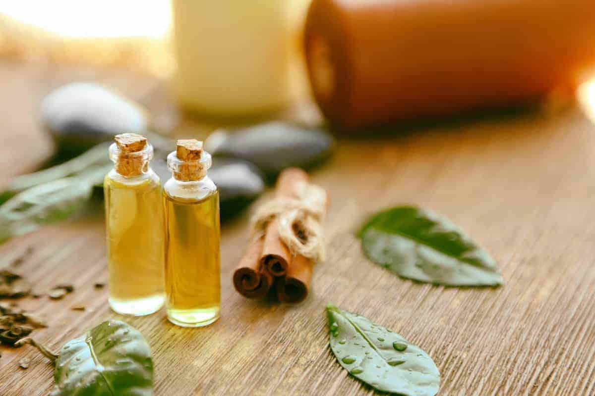 tea tree oil mold killer