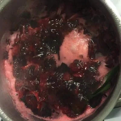 Chá de Hibisco Receita de ebulição versão