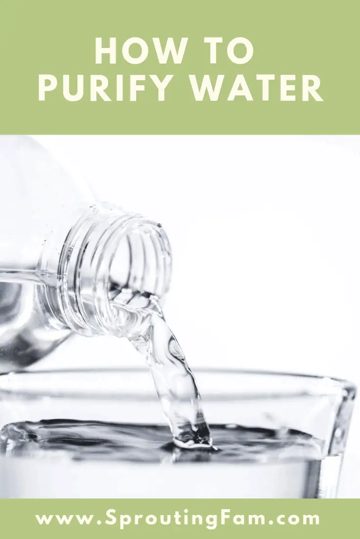 How To Purify Water For Survival (3 Methods) Sprouting Fam
