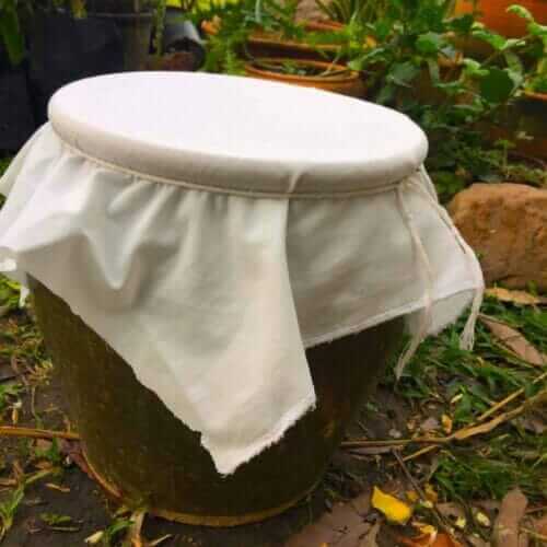 How To Make Fermented Plant Juice (FPJ) StepByStep Liquid Fertilizer