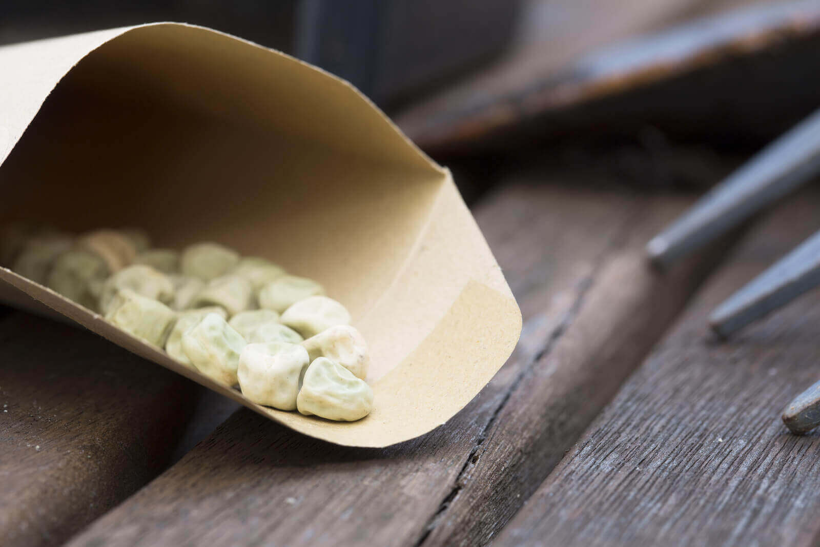 Seed Storage 101 How To Save Seeds Safely Long Term Sprouting Fam