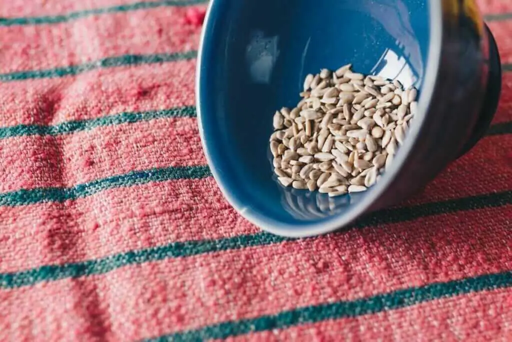 storing seeds long term