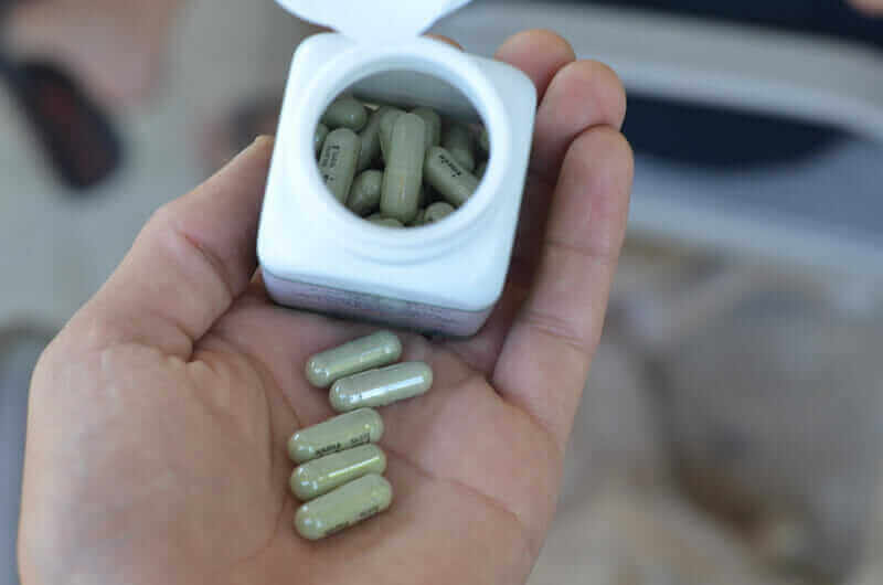 andrographis herb capsules