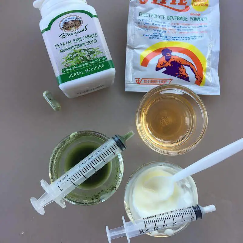 andrographis herb for dog fever