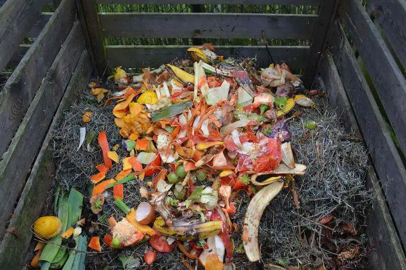 organic compost pile