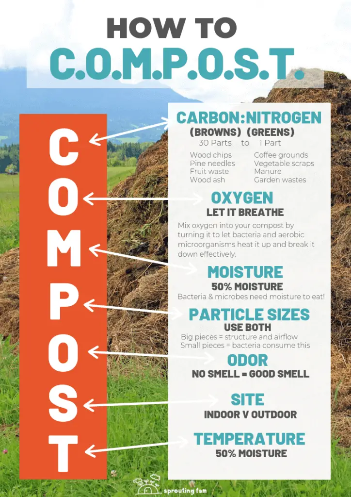 How To Start A Compost Pile (+ Composting Infographic PDF)