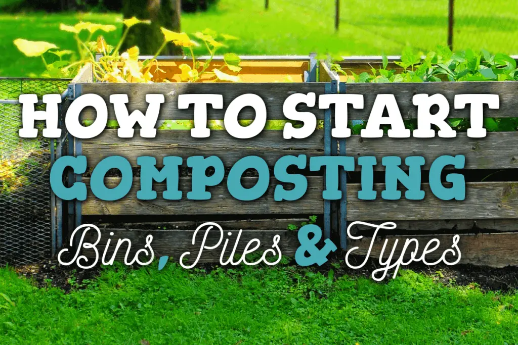 How To Start A Compost Pile (+ Composting Infographic PDF)