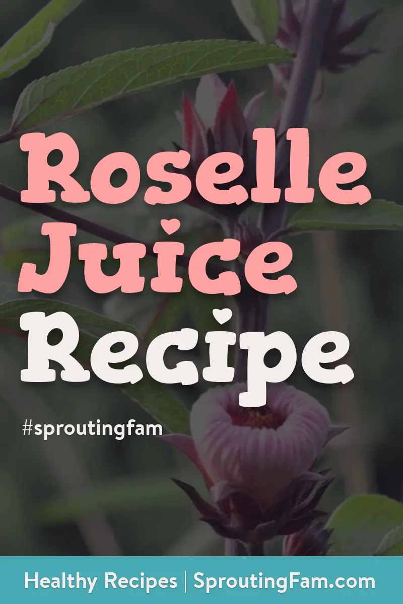 Roselle Juice Recipe From Fresh Roselle Flowers (Hibiscus Tea)