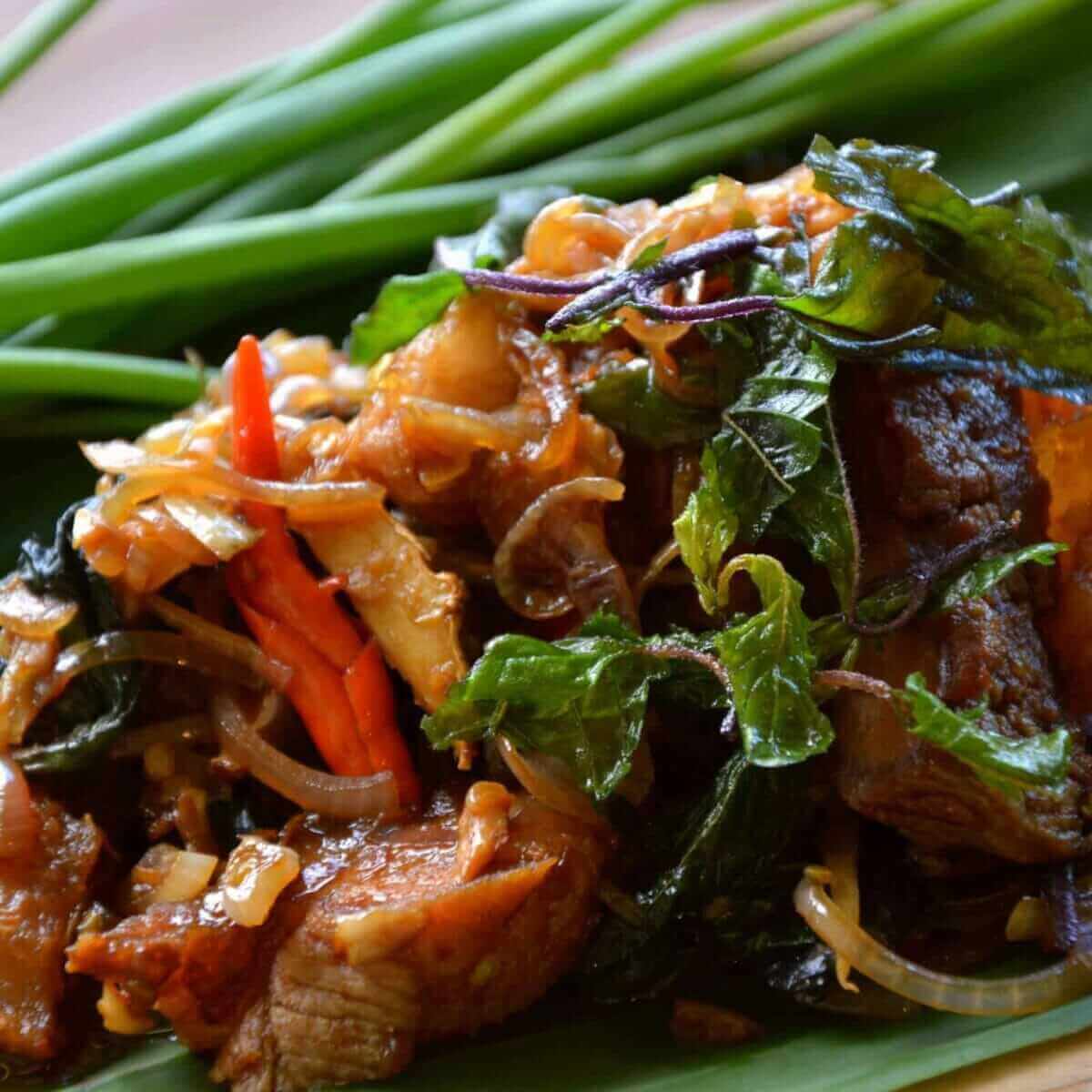 Pad Krapow Recipe (Thai Basil Chicken or Pork) - Sprouting Fam