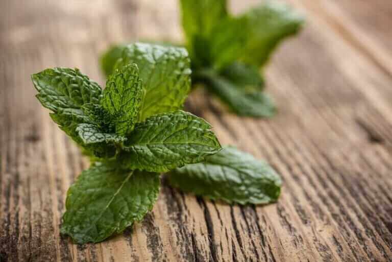11 Herbs That Smell Good & How To Use Them Indoors Sprouting Fam